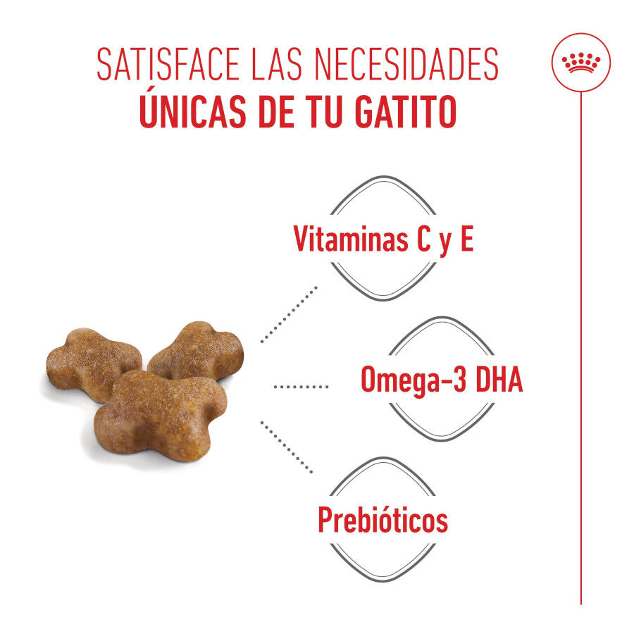 4 kg Royal Canin Kitten pienso para gatos, , large indicador imagen numero 3