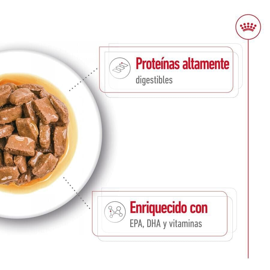 140 g Royal Canin Maxi Ageing sobre en salsa para perros&nbsp;senior, , large Imagen numero 4