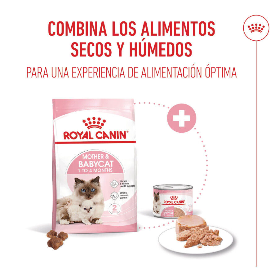 4 kg Royal Canin Mother & Babycat pienso para gatos, , large Imagen numero 6