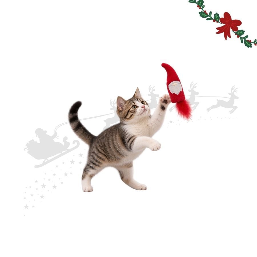 Wonder Christmas Teaser Pap&aacute; Noel Juguete para gatos, , large indicador imagen numero 1