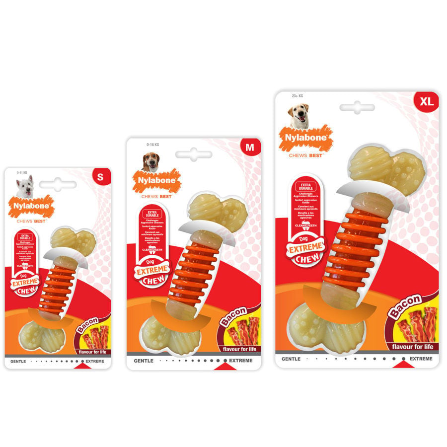 Nylabone Hueso Mordedor Dental Sabor a Bacon para perros, , large indicador imagen numero 4