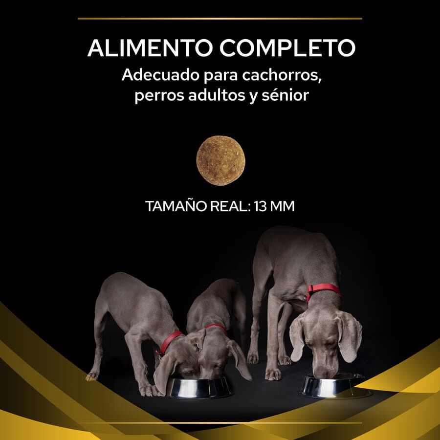 12 kg Pro Plan Veterinary Diets Joint Mobility pienso para perros, , large indicador imagen numero 3