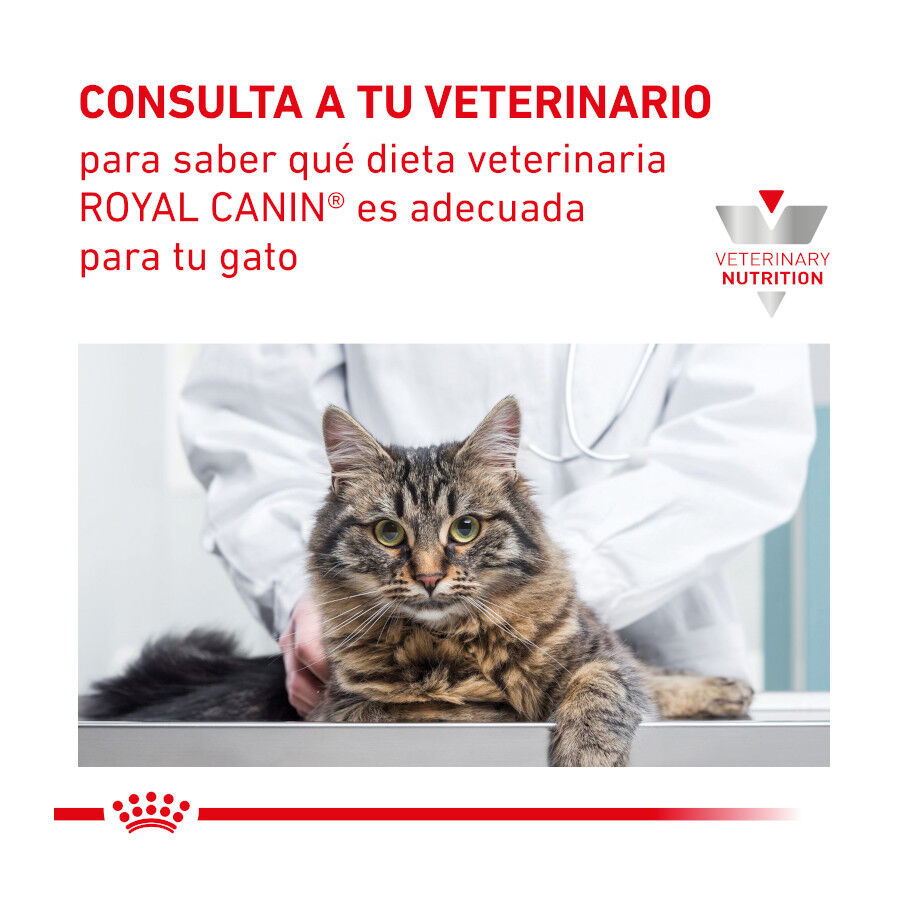12 sobres x 85 g Royal Canin Veterinary Gastrointestinal sobre en salsa para gatos, , large Imagen numero 8