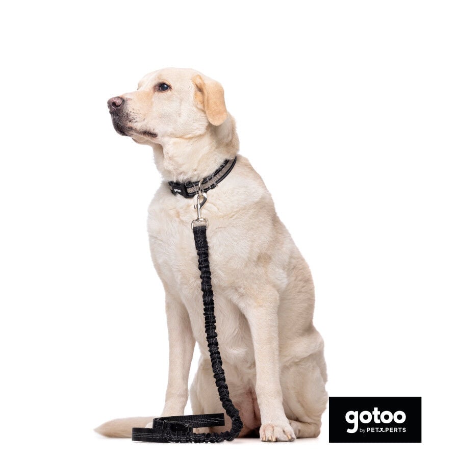 Gotoo Correa doble de nylon negra para perros, , large indicador imagen numero 3
