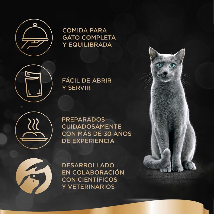 4 sobres x 85 g Sheba Selezione Carnes Salsa en Bolsita para Gatos , , large indicador imagen numero 6