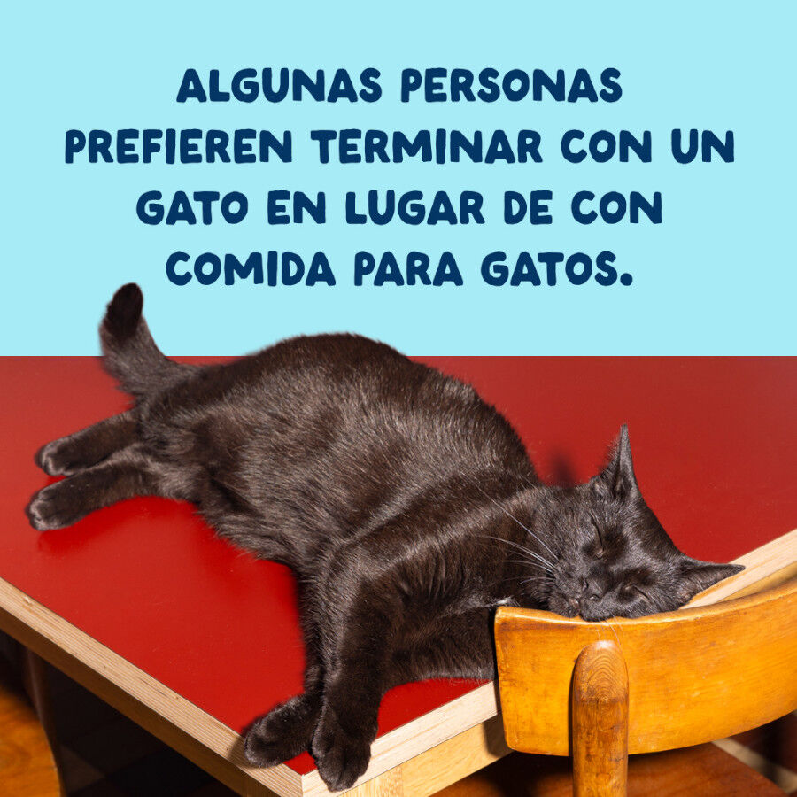 70 g Edgard & Cooper Filetes de At&uacute;n y Calamar lata para gatos, , large Imagen numero 9
