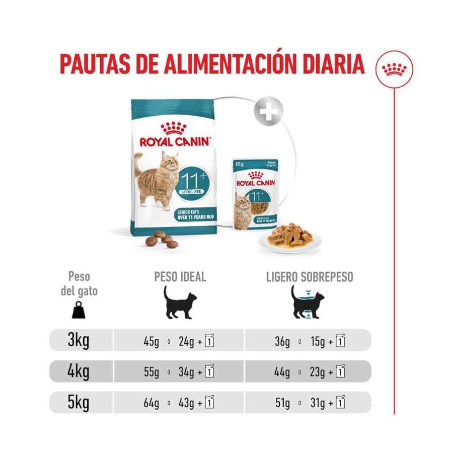 2 kg Royal Canin Ageing 11+ Sterilised pienso para gatos&nbsp;senior, , large indicador imagen numero 9