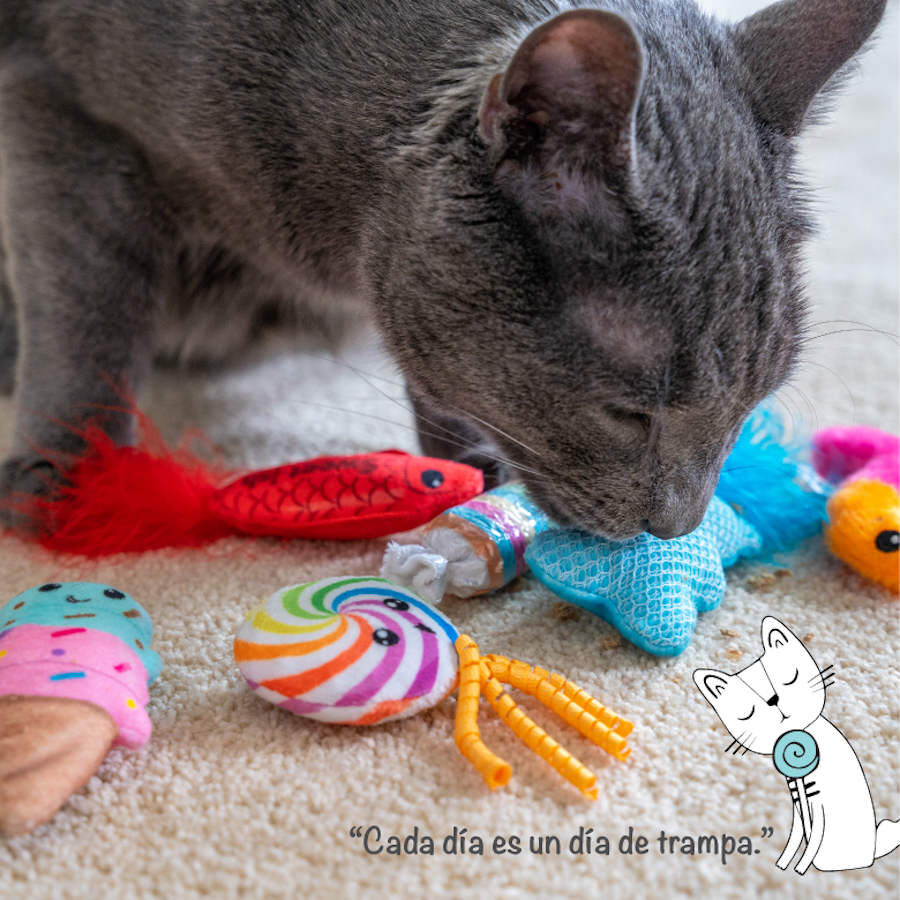 Catstages Sweet Treats Peluches Surtidos para gatos, , large indicador imagen numero 4
