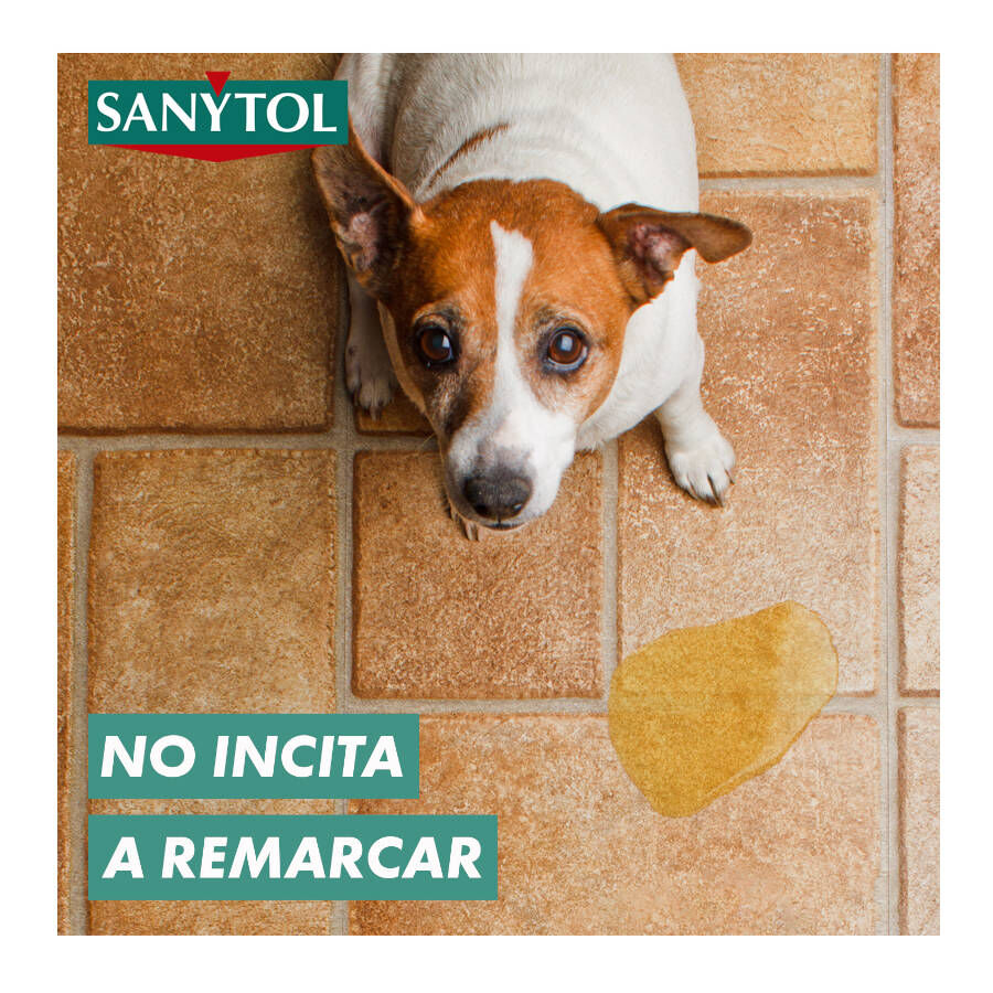 Sanytol Limpiador Desinfectante para hogares, , large Imagen numero 4