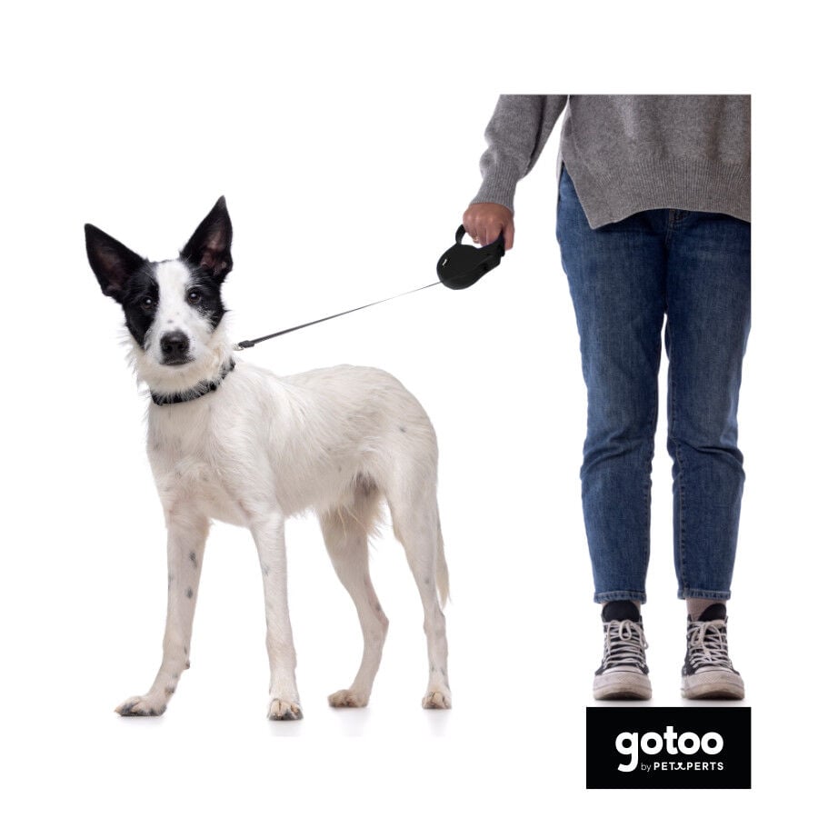 Gotoo Correa extensible negra para perros, , large indicador imagen numero 3