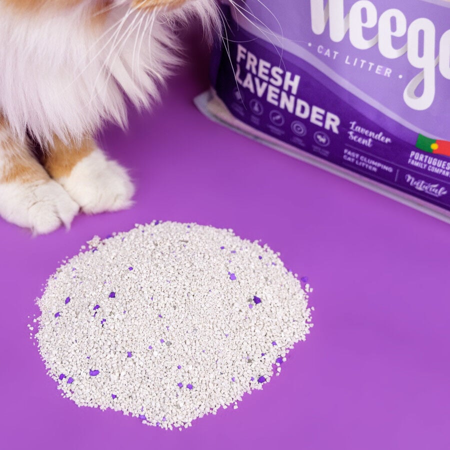 Weego Fresh Lavender Arena Aglomerante para gatos, , large indicador imagen numero 2