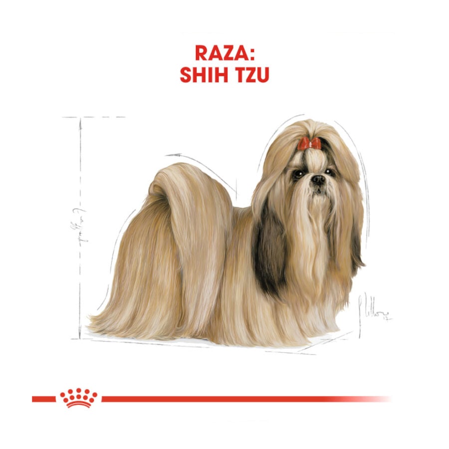 3 kg Royal Canin Adult Shih Tzu pienso para perros , , large Imagen numero 4