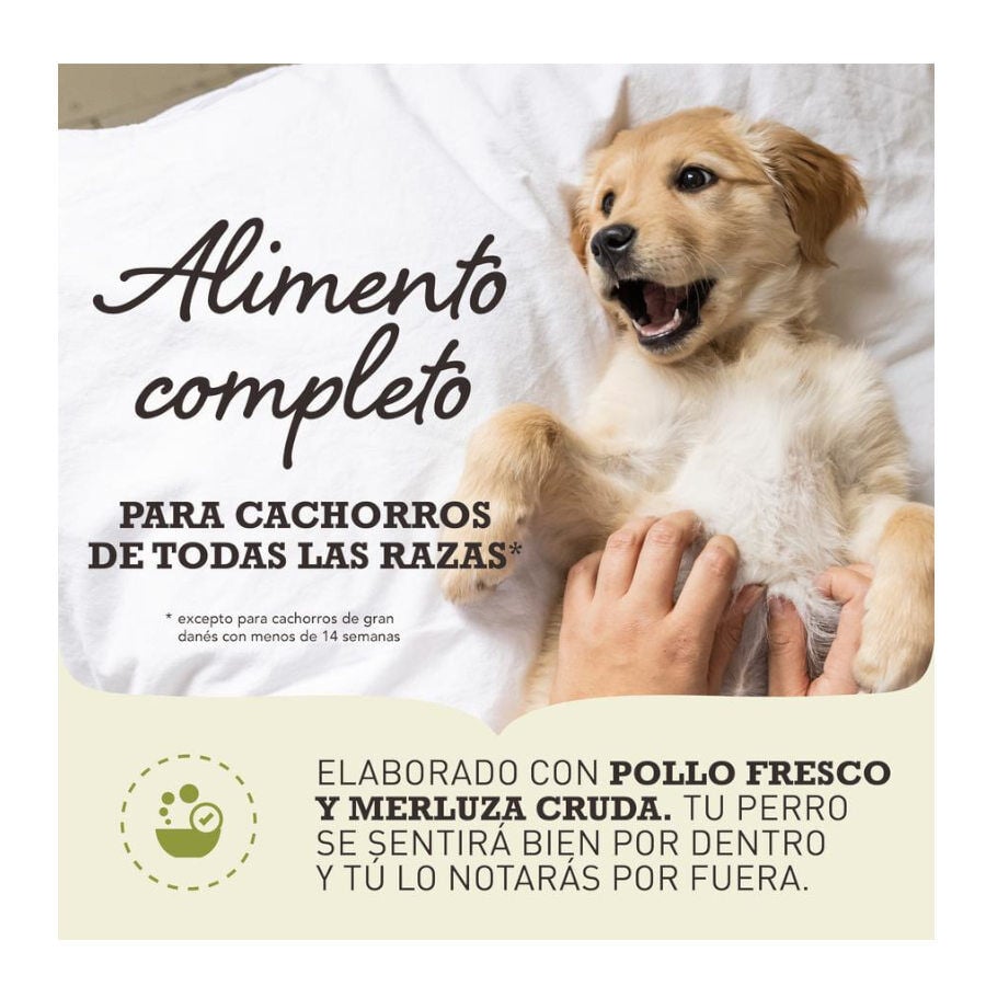 17 kg Acana Puppy Medium pienso para perros, , large indicador imagen numero 2