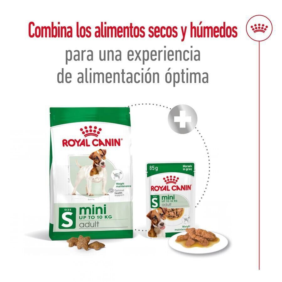 9 kg (8 + 1 kg gr&aacute;tis!) Royal Canin Mini Adult pienso para perros, , large indicador imagen numero 2