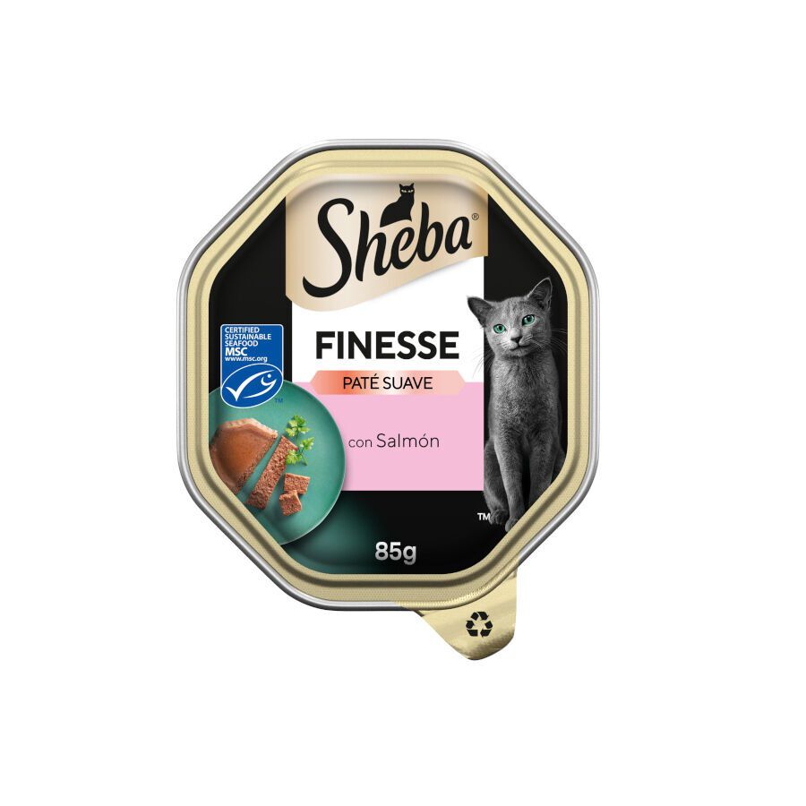 85 g Sheba Finesse Salm&oacute;n en Pat&eacute; tarrina para gatos, , large Imagen numero 1