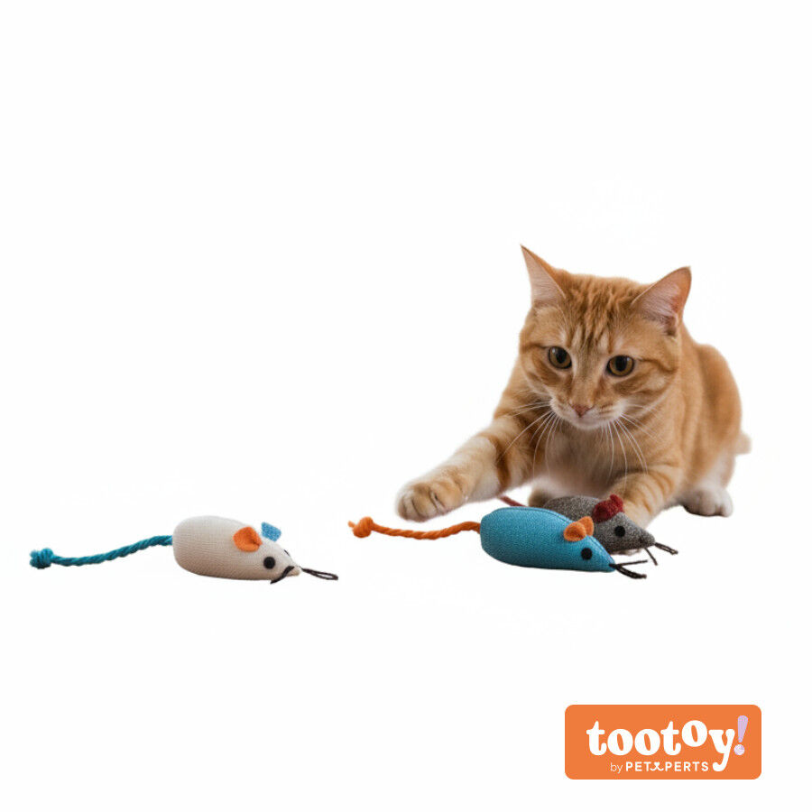 Tootoy! Rat&oacute;n de Tela Colores Variados para gatos