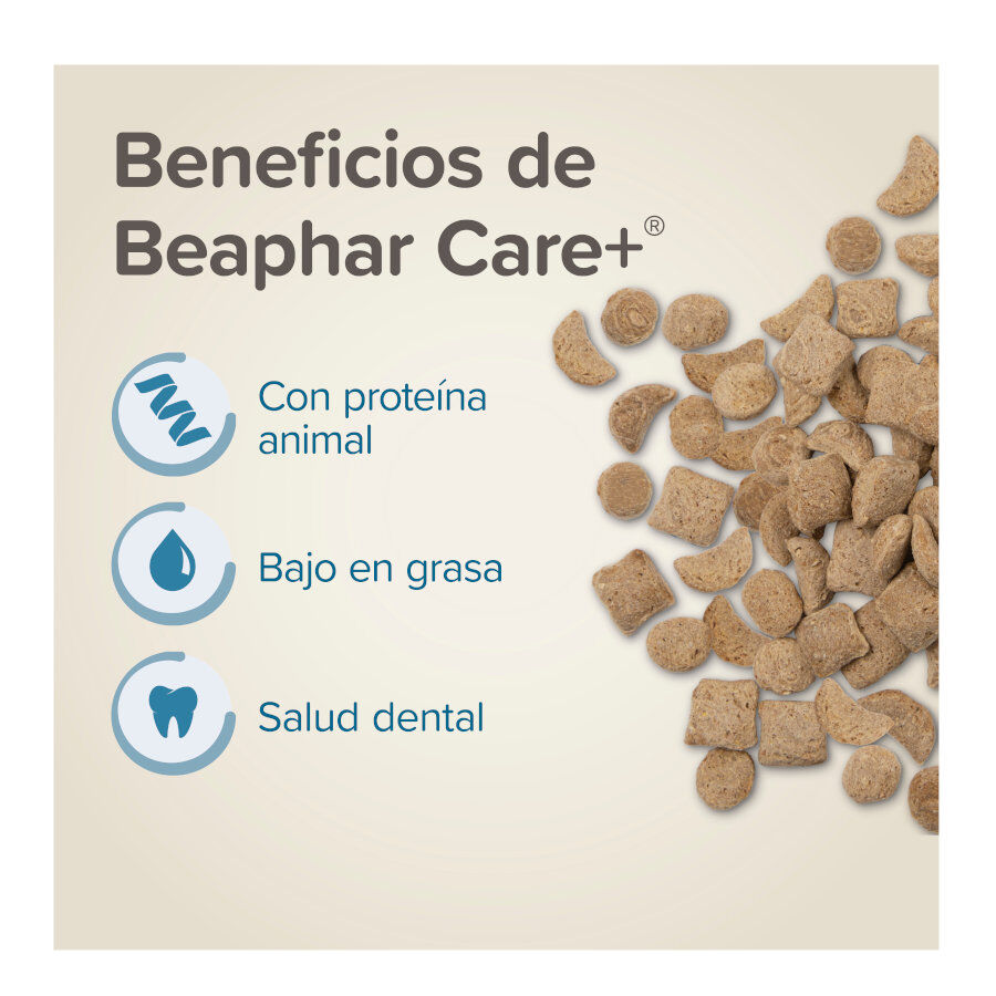 Beaphar Care+ Pienso para ratas, , large indicador imagen numero 3