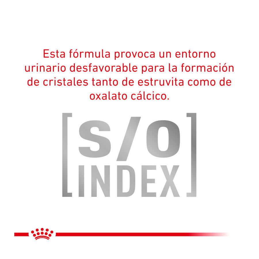 12 sobres x 85 g Royal Canin Veterinary Urinary Moderate Calorie sobres para gatos, , large indicador imagen numero 7
