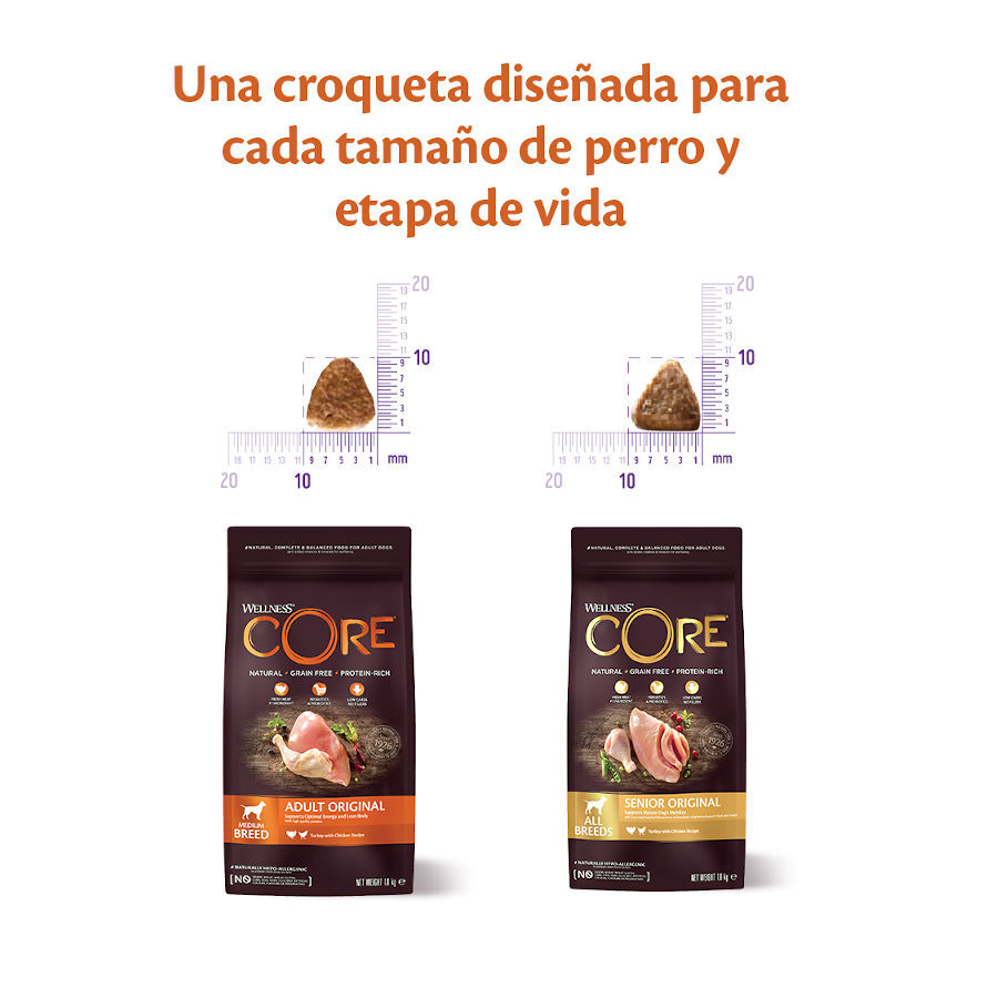 10 kg Wellness Core Adult Medium/Large Ocean Salm&oacute;n y At&uacute;n pienso para perros, , large indicador imagen numero 3