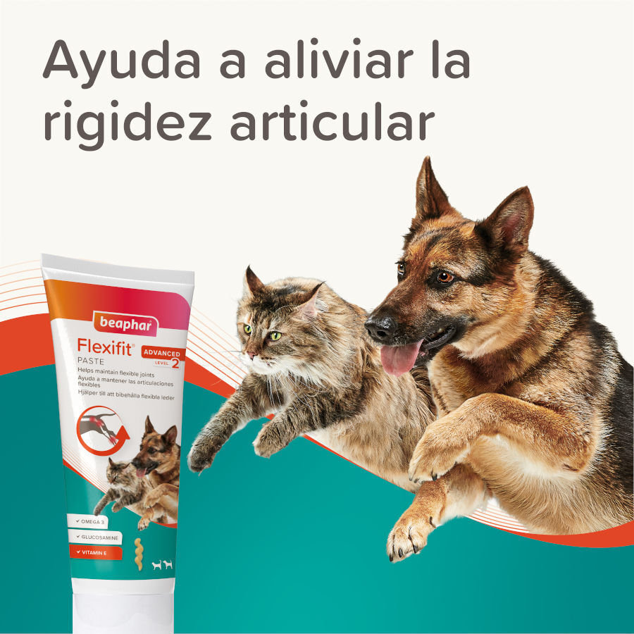 250 g Beaphar Pasta Flexifit para perros y gatos, , large indicador imagen numero 4