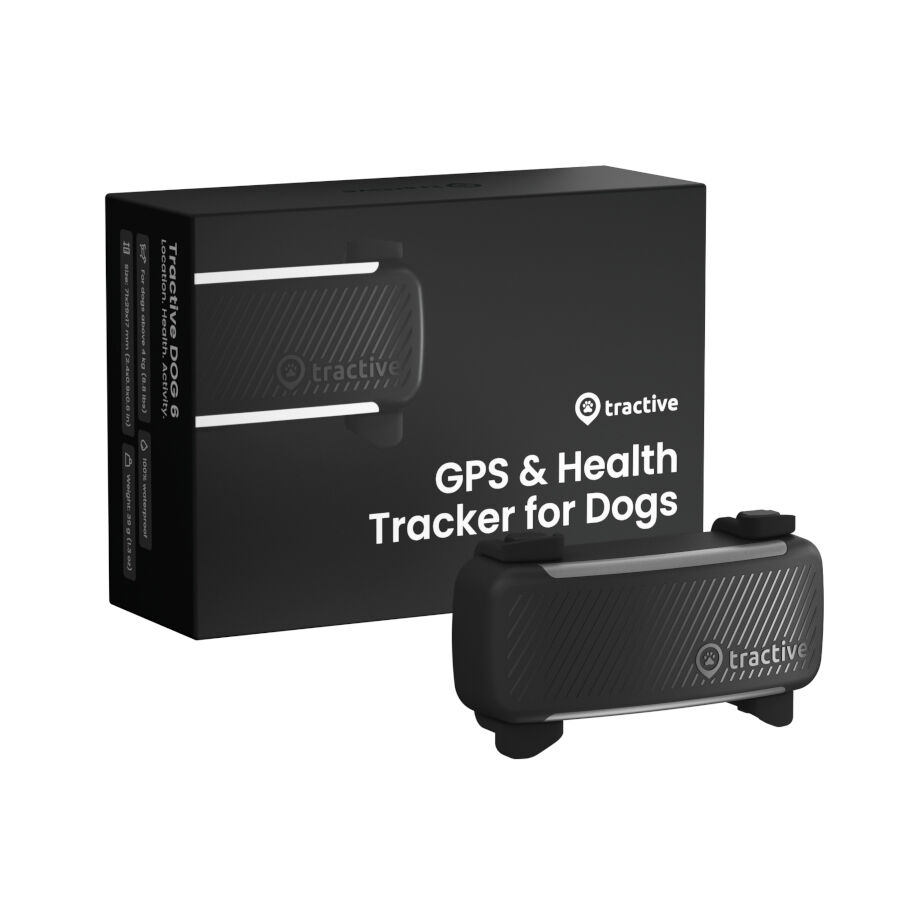Tractive GPS Dog 6 Negro Rastreador para perros, , large indicador imagen numero 1