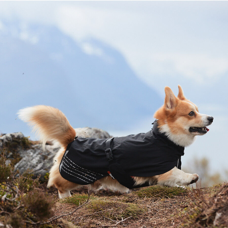 Non-stop dogwear Fjord Chubasquero Impermeable Negro para perros, , large indicador imagen numero 3