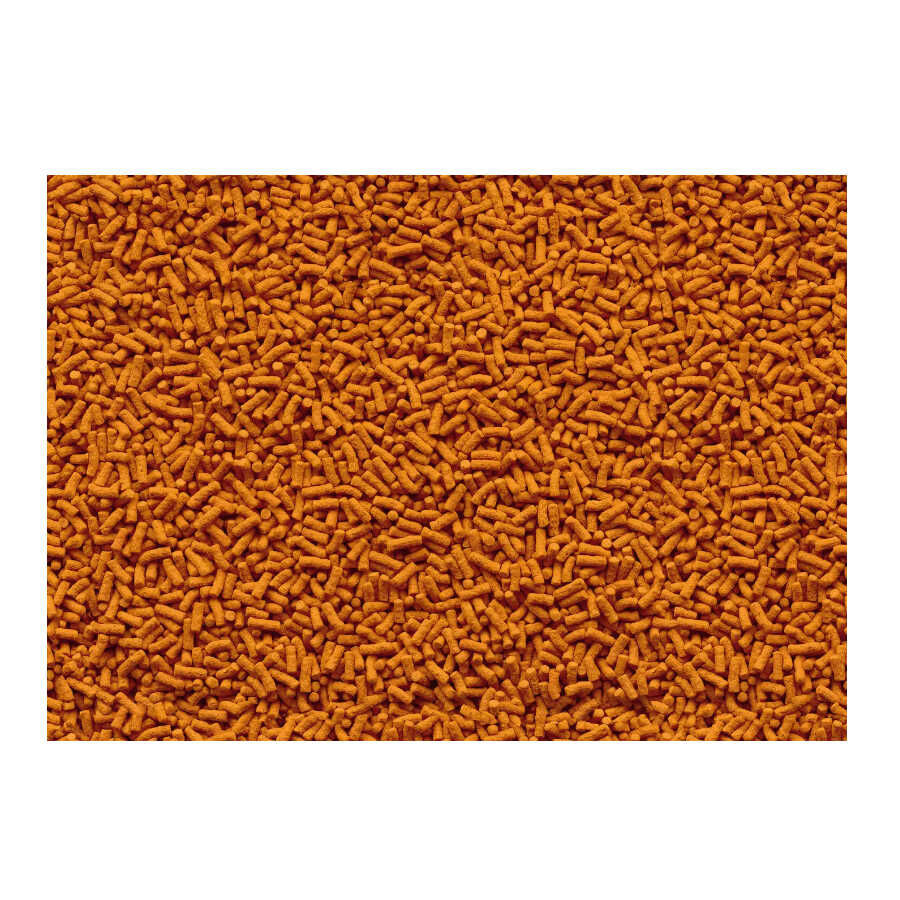 Tetra Pond Colour Sticks para peces, , large Imagen numero 2