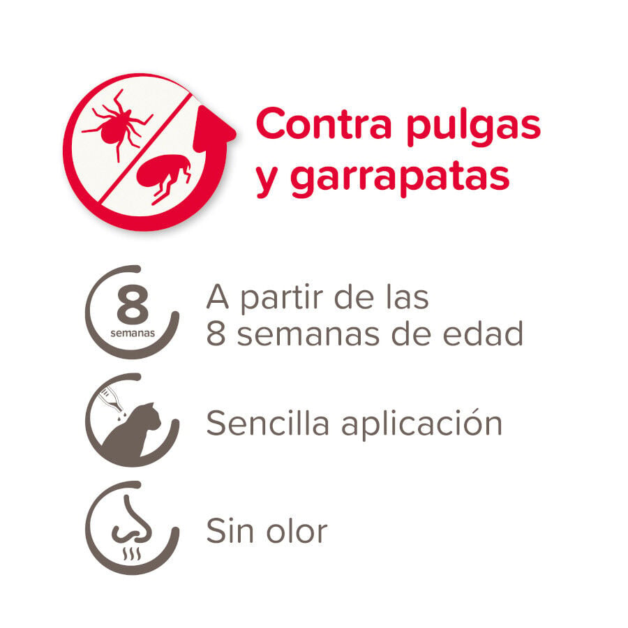 Beaphar Fiprotec Pipetas Antiparasitarias para gatos, , large Imagen numero 4