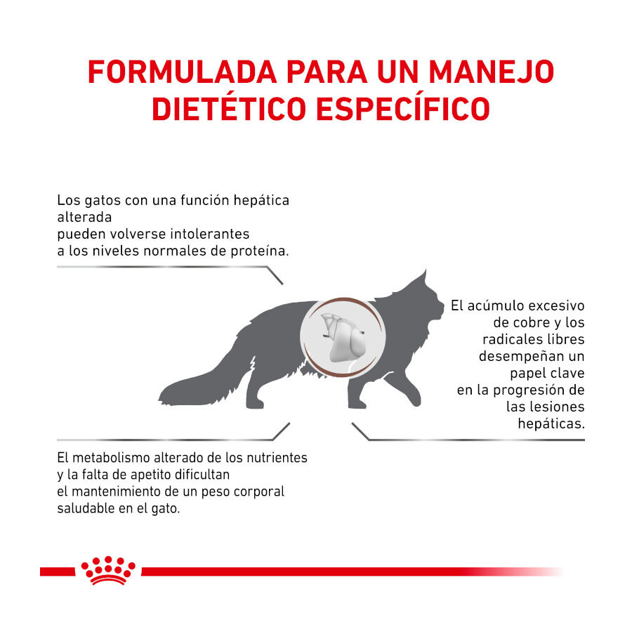4 kg Royal Canin Veterinary Hepatic pienso para gatos, , large Imagen numero 5