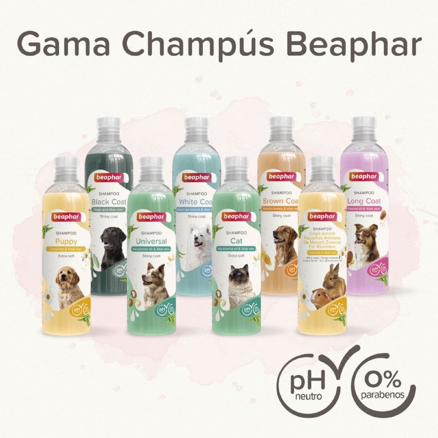 Beaphar Universal Champ&uacute; para perros, , large Imagen numero 7