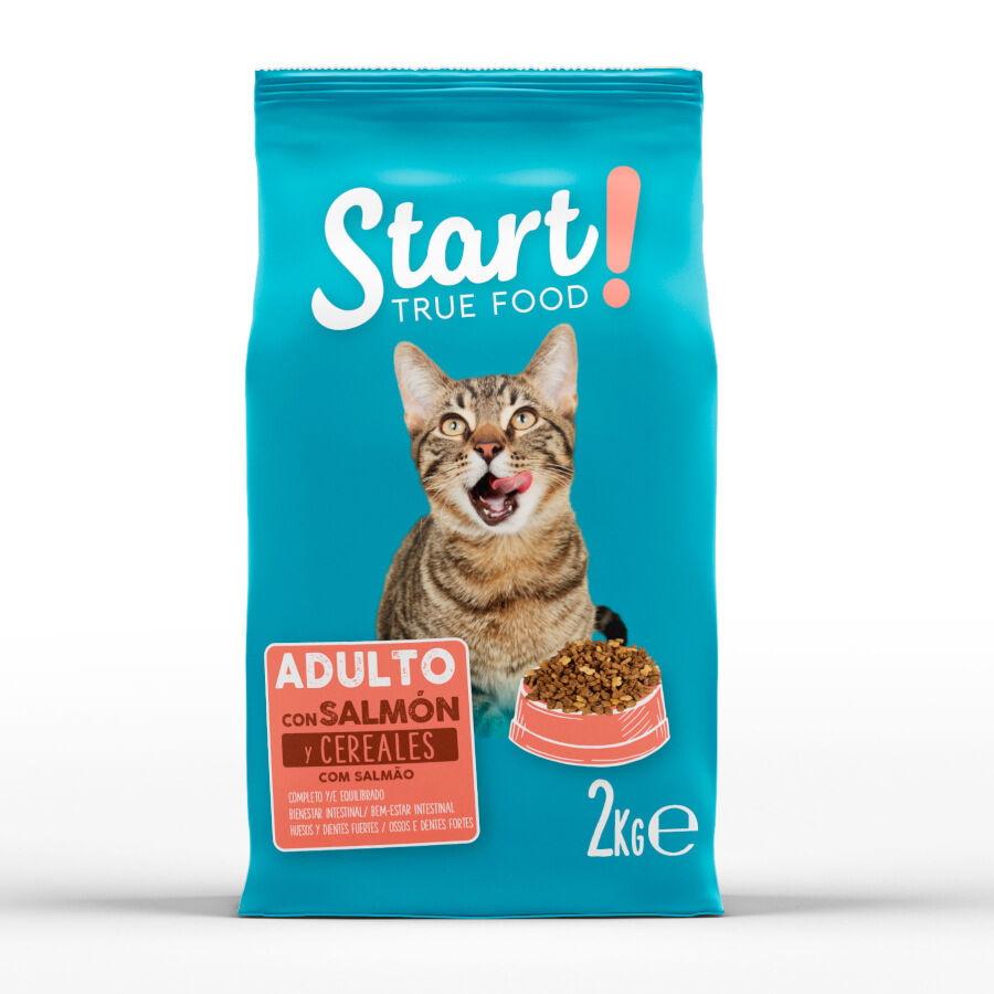 Start Adulto Salm&oacute;n y Cereales pienso para gatos