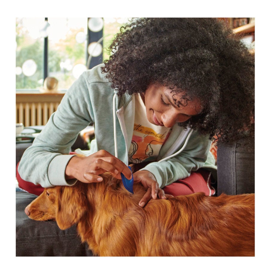 Beaphar FiproTec Pipetas para perros, , large indicador imagen numero 6