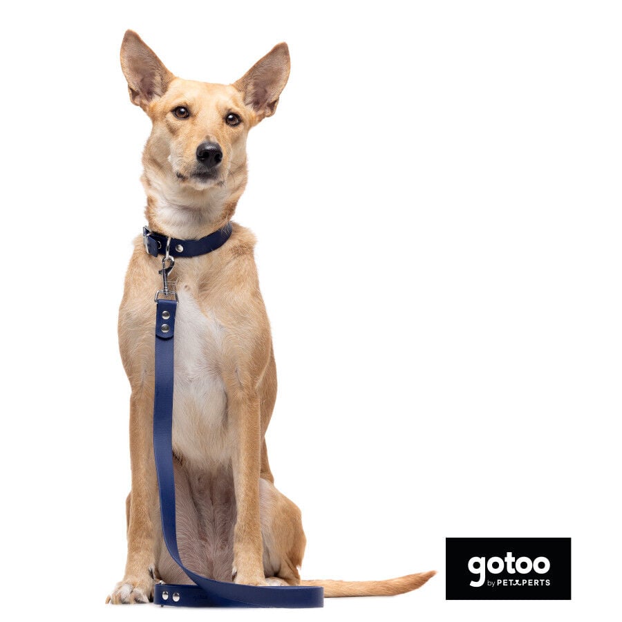 Gotoo Collar Biothane azul para perros, , large indicador imagen numero 7