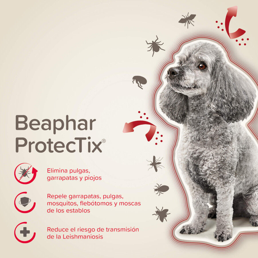 Beaphar Protectix Pipetas Antiparasitarias para perros, , large indicador imagen numero 2