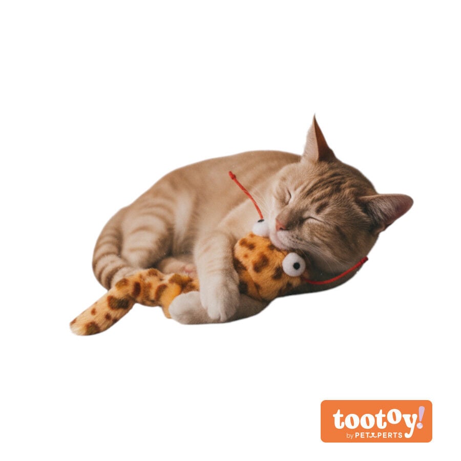 Tootoy! Serpiente de Peluche con Zumbido para gatos, , large Imagen numero 9