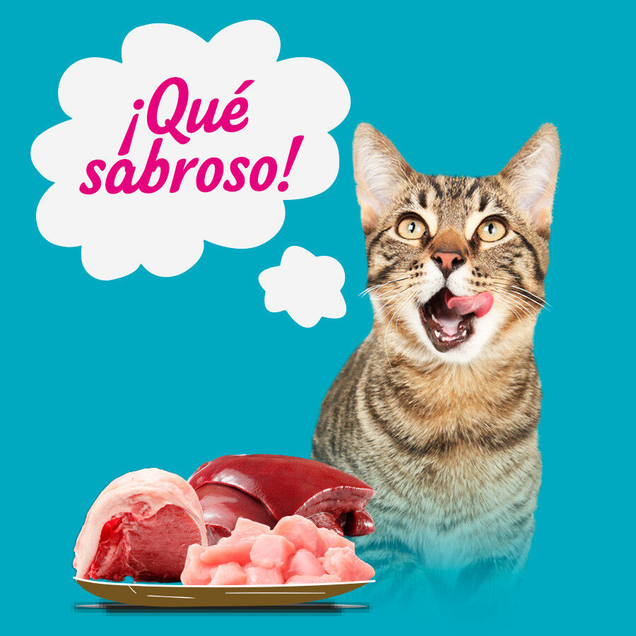 12 latas x 400 g Start Multipack de Carne y Pescado en Gelatina para Gatos, , large Imagen numero 4