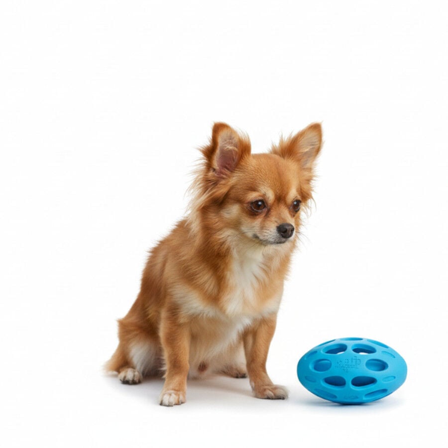 All For Paws Meta Ball Pelota Azul Juguete para perros, , large indicador imagen numero 3
