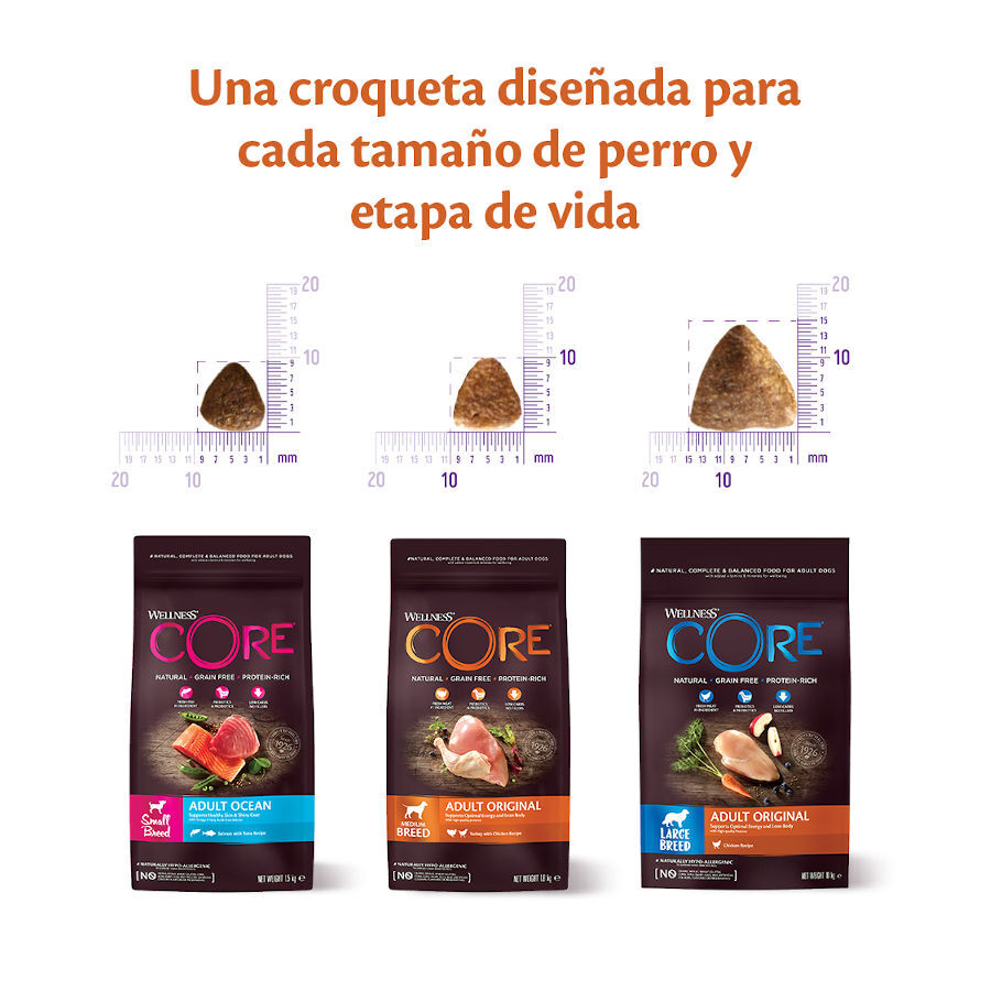 5 kg Wellness Core Adult Small Ocean Salm&oacute;n y At&uacute;n pienso para perros, , large indicador imagen numero 3