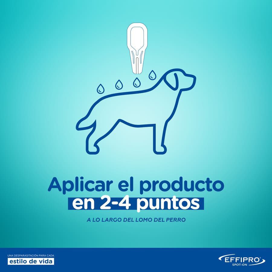 Effipro pipetas antipar&aacute;sitos perros 40-60 kg, , large indicador imagen numero 7