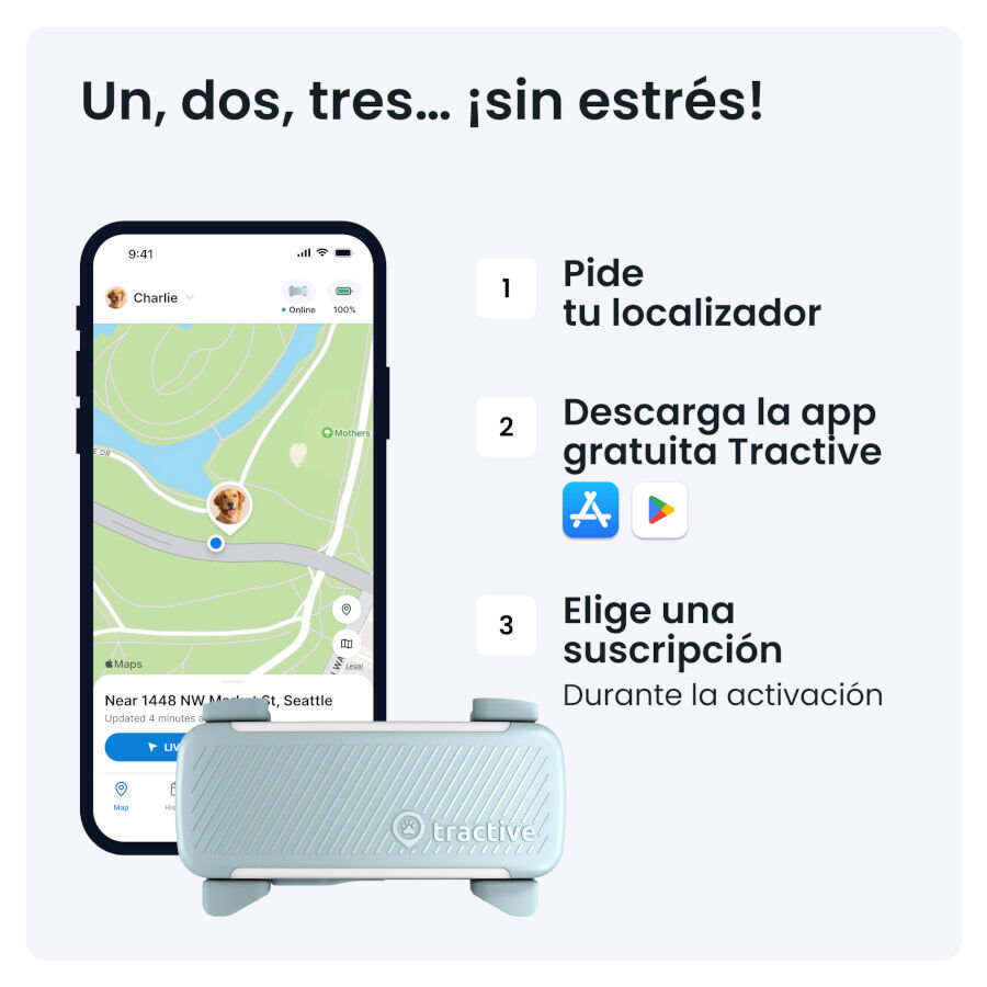 Tractive GPS Dog 6 Menta Rastreador para perros, , large Imagen numero 6