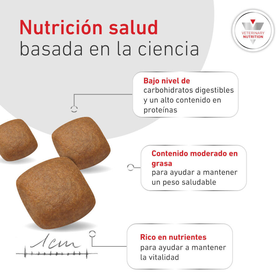 12 kg Royal Canin Veterinary Diabetic pienso para perros, , large indicador imagen numero 6