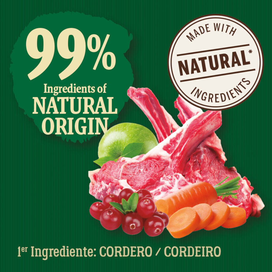 True Origins Wild Forest Cordero Pienso para perros, , large indicador imagen numero 3