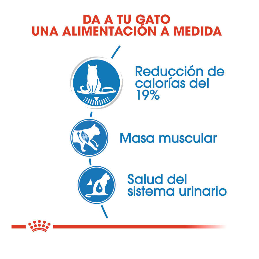 85 g Royal Canin Ultra Light gelatina sobre para gatos, , large Imagen numero 4