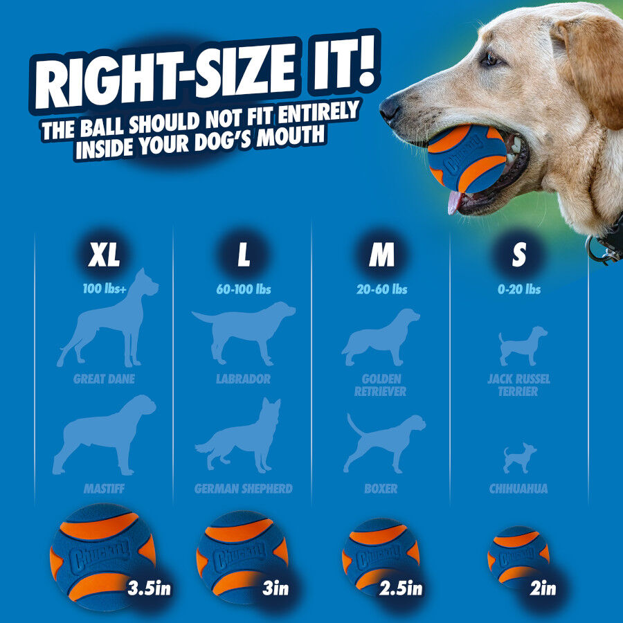 Chuckit! Ultra Squeaker Pelota con Sonido y Rebote para perros &ndash; Pack 2, , large Imagen numero 6