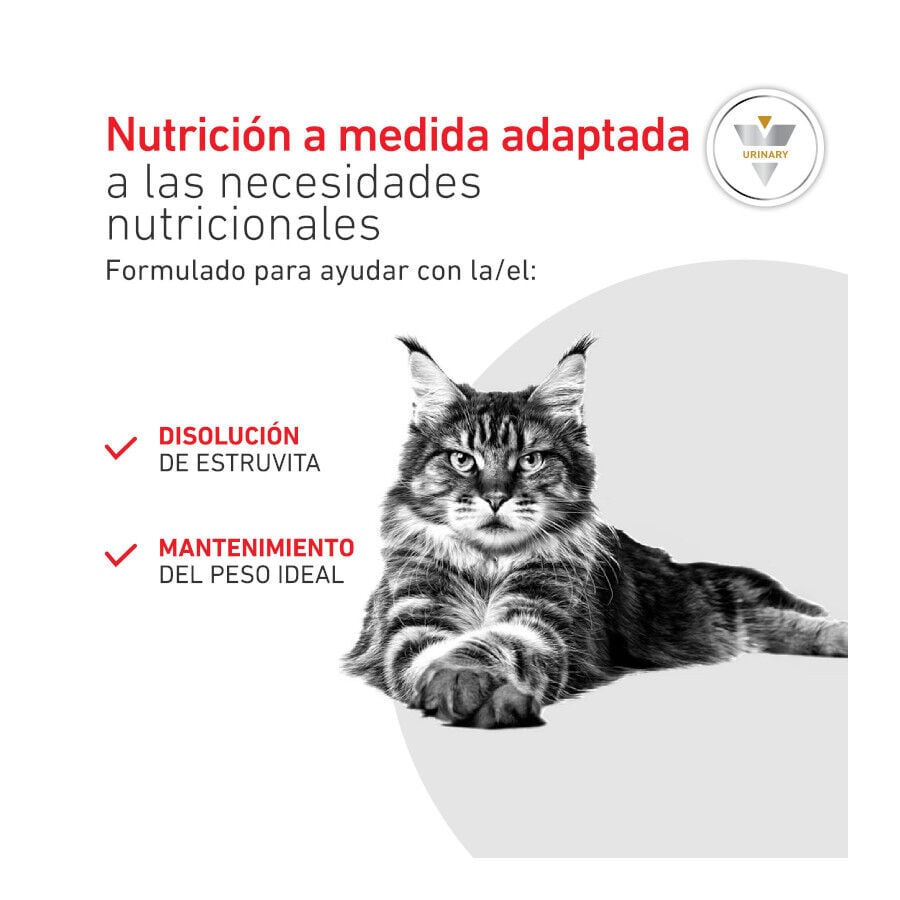 9 kg Royal Canin Veterinary Urinary S/O Moderate Calorie pienso para gatos, , large Imagen numero 4