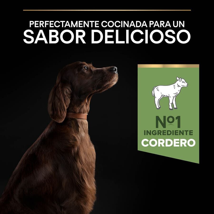 14 kg Pro Plan Adult Large Athletic Digesti&oacute;n Cordero pienso para perros, , large Imagen numero 6