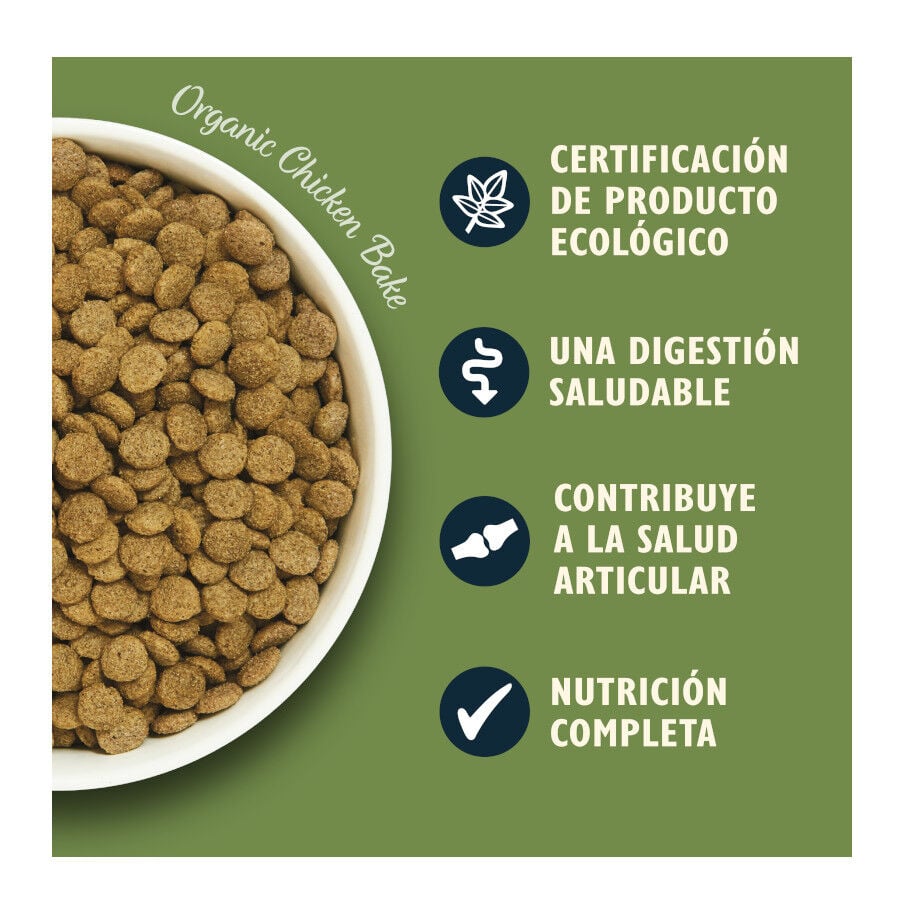 7 kg Lily's Kitchen Organic Pollo y Verdura pienso para perros, , large indicador imagen numero 3