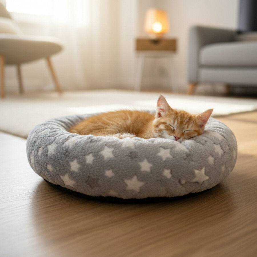 Leeby Cama Donut Estrella Gris para gatos, , large indicador imagen numero 1
