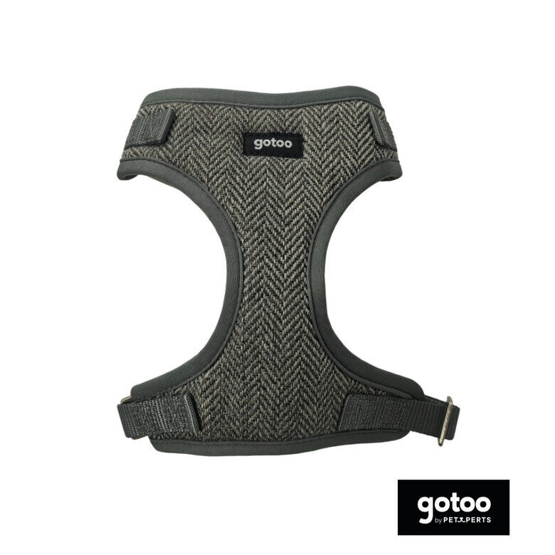 Gotoo Arn&eacute;s ajustable espiga gris para perros, , large Imagen numero 2