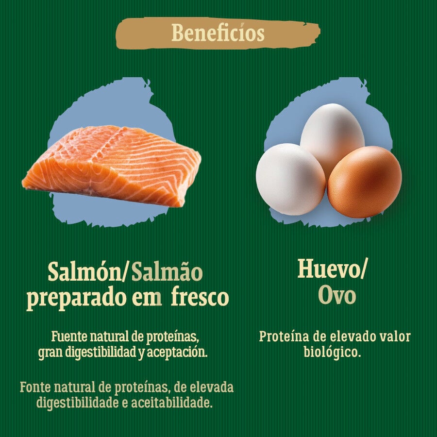 6 kg True Origins Wild Esterilizado Pacific Salm&oacute;n pienso para gatos, , large indicador imagen numero 5